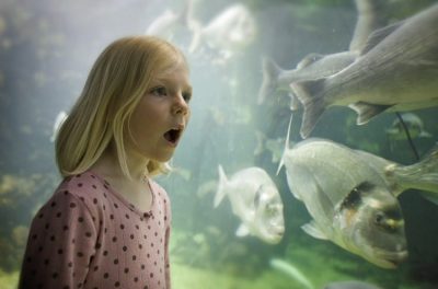 Anglesey Sea Zoo