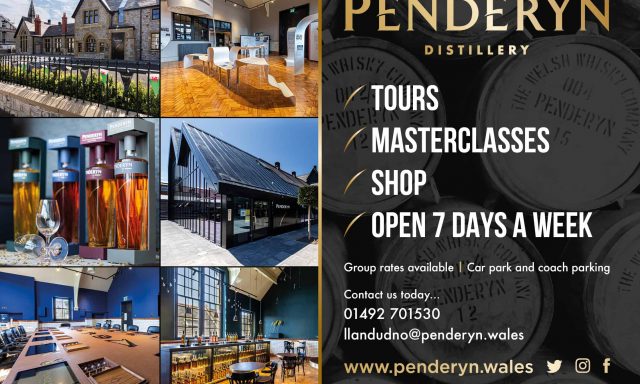 Penderyn Distillery